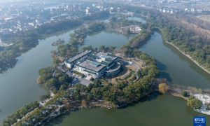 文化中国行丨湖北荆州：技术创新为有机质文物全生命周期“护航”